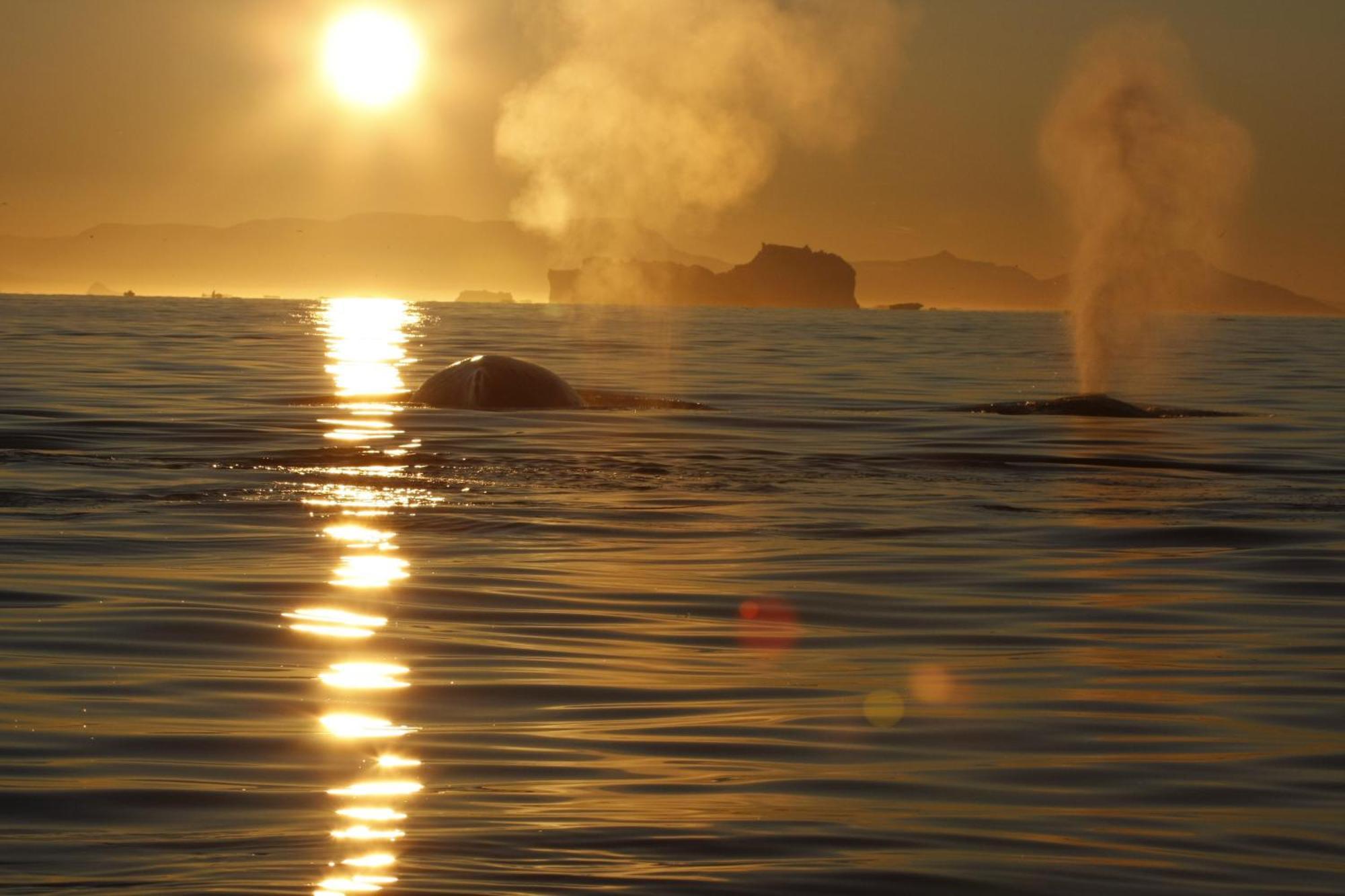 Hotel Icefiord Ilulissat Zewnętrze zdjęcie